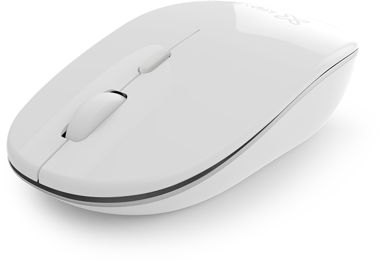 MOUSE